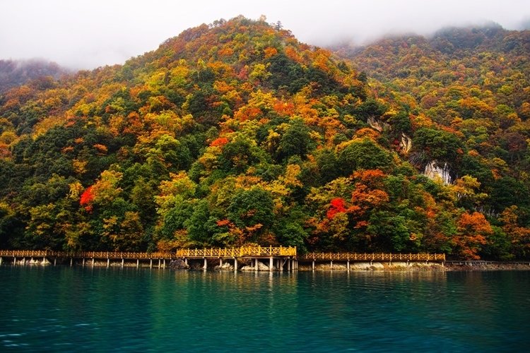 信息 文县天池(wenxian heaven lake)位于甘肃省陇南市文县洋汤河上游