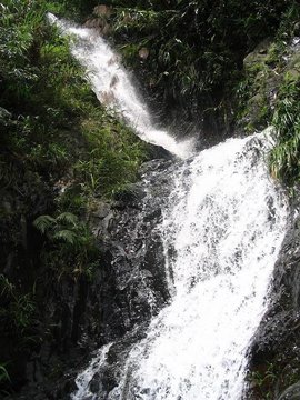 新丰江国家森林公园桂山风景区
