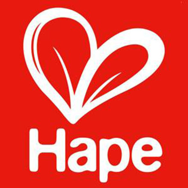 hape(品牌)