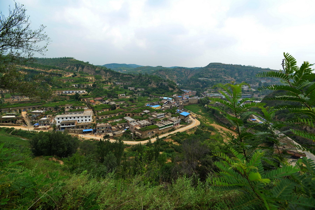 佳县西南部,北与刘山乡,峪口乡为邻,南同米脂县印斗镇接壤,西接金明寺