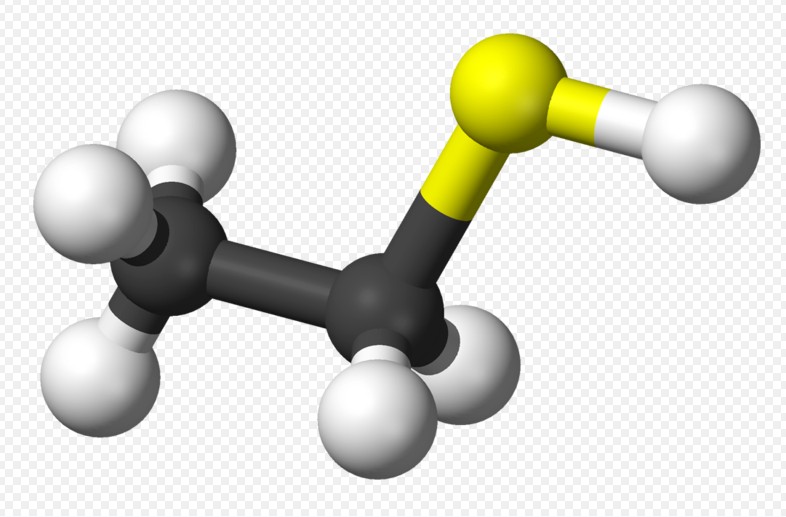 乙硫醇 (有机物)