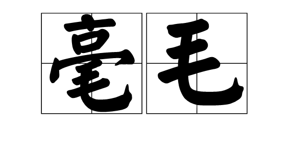 毫毛(词汇)