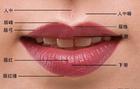 壁立千仞x愚翁 馆藏分类口唇部位于面部的正下方,是吞咽和说话的重要