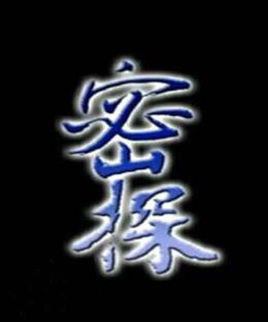 密探(电视剧)
