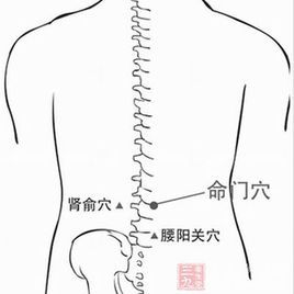 肾俞穴(中医学与中药学)