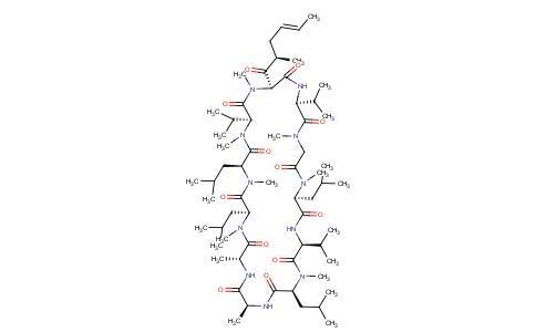 环孢兰伯盘菌其他生物相关
