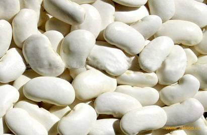 白芸豆植物