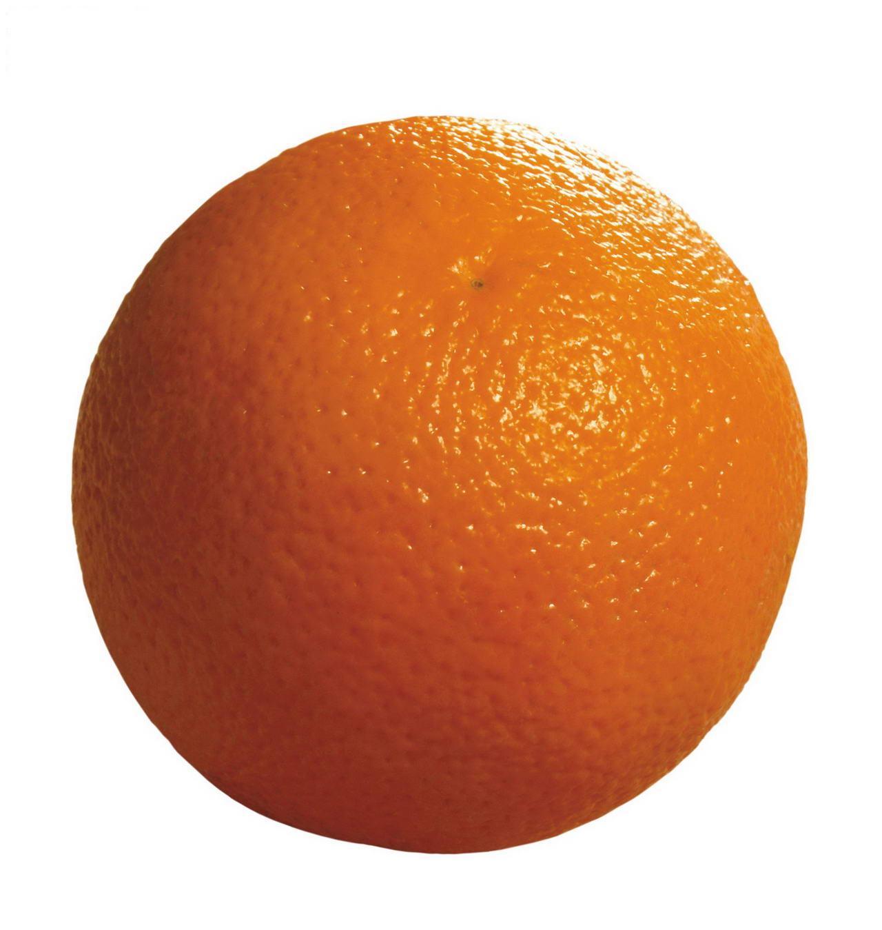 橙子(果实|植物)