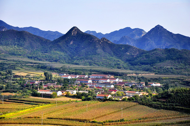 东沟村
