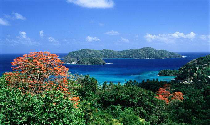 特立尼达岛是西印度群岛中第六大岛,也是小安的列斯群岛中面积最大者.