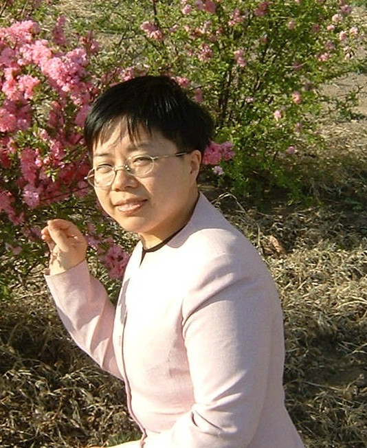杨春风(其他人物相关)