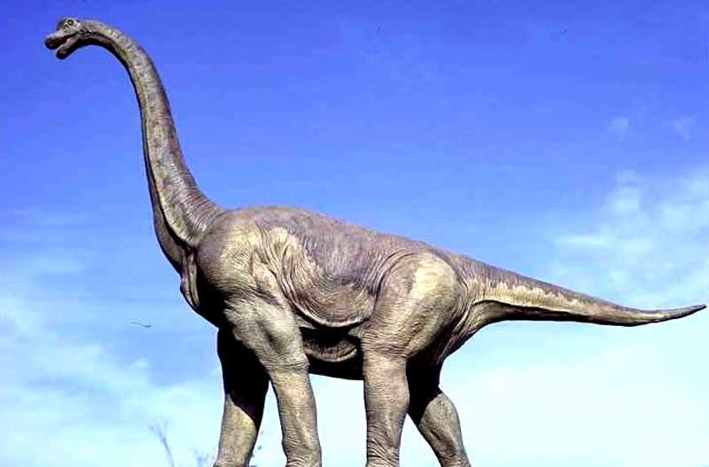 最古老的动物_2015年七大化石发现 最古老的动物精子