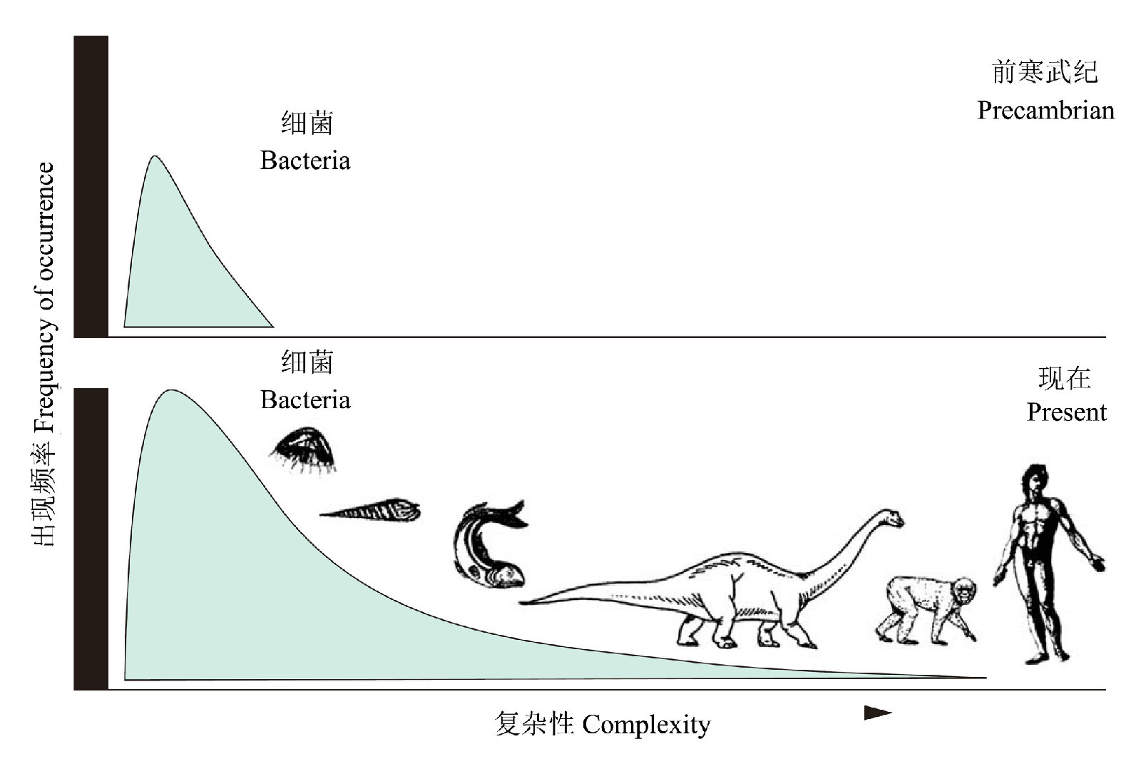 生物进化 360百科