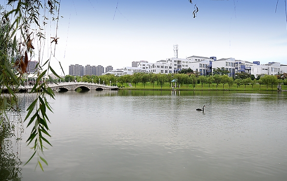 合肥工业大学