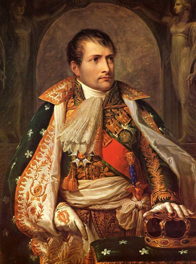 拿破仑波拿巴法国法兰西第一帝国的缔造者