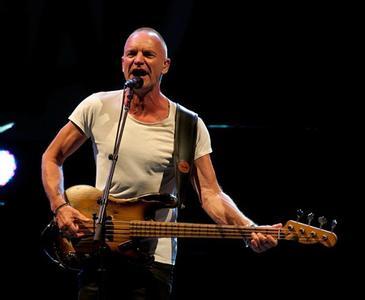 sting