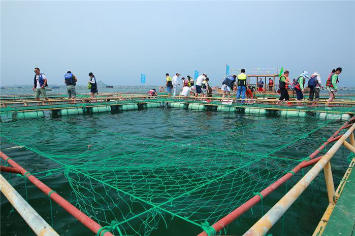 海洋牧场 (农学)