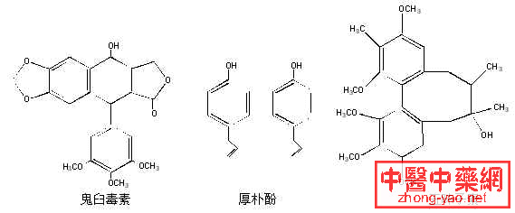 木脂素(有机物)