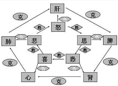 七情分属五脏,以喜,怒,思,悲,恐为代表,称为 五志