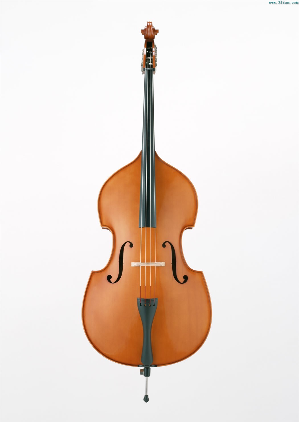 低音提琴 (乐器)