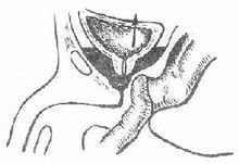 t01081fe3998a3655c7.jpg