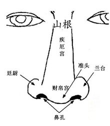 山根究竟在何方 (山根到底在哪个位置)