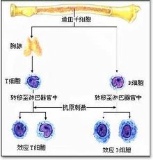 t0123753f1b3849e2b0.jpg