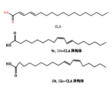 共轭亚油酸分子式