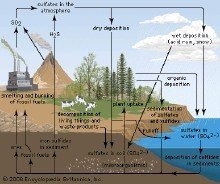生态地球化学及碳中和前沿学术研讨会