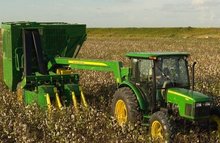 越南农业 越南农业