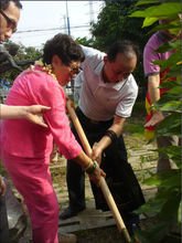 孙中山孙女与辛亥元老何子渊后裔在广州植树