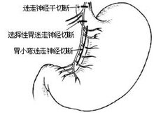 t0145c6003b3f7ccbdc.jpg