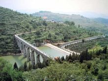 虎头山树木葱茏的森林公园