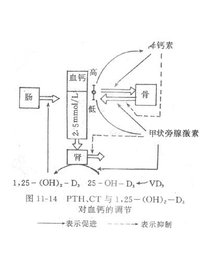 畜产品相关食物资讯_食物同伴网