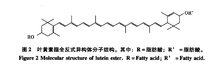 叶黄素酯分子结构图