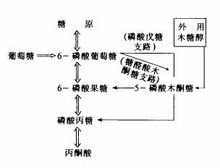 t018542a082c3159d54.jpg