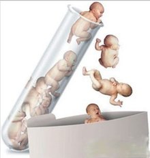 试管婴儿性别差异：生物学因素还是环境影响？ (试管婴儿性别筛选)