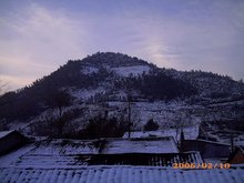 羊楼洞的松峰山-松峰茶的发源地