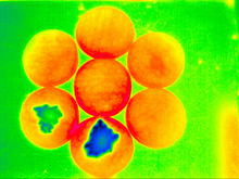 胚胎孵化监测(蓝色代表死胎)