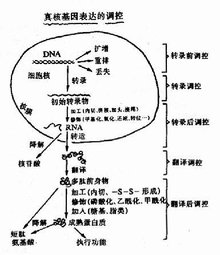 t01c69b0bb39224b58f.jpg