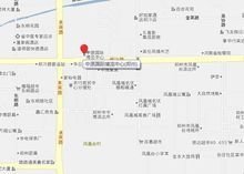中原国际博览中心地址