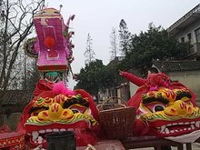 什么是僵狮子 t01cde85dd5e0e8aadd.jpg