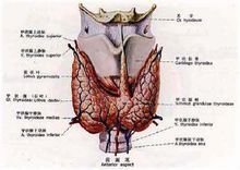 t01e43ed131827f9496.jpg