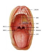t01ef74960e3f34feee.jpg