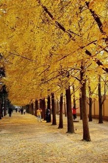 成都信息工程大学