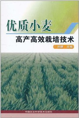 智能时代下的系统集成：让万物互联更高效