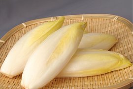 菊苣根哪裡買 Lefoud