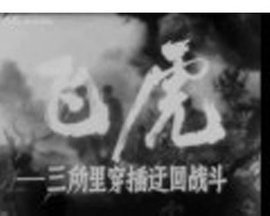 飞虎