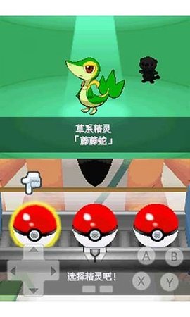 口袋妖怪黑2金手指