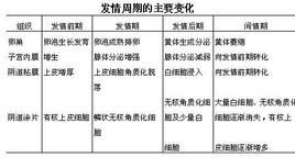 性周期  免费编辑   添加义项名